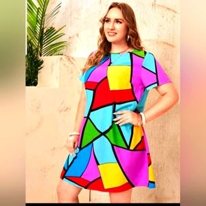 Flare Dress Multi color